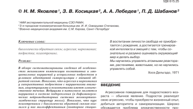 Photo of Тюнинг для увеличения агрессивности