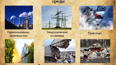 Photo of «Экологические технологии: защита окружающей среды»